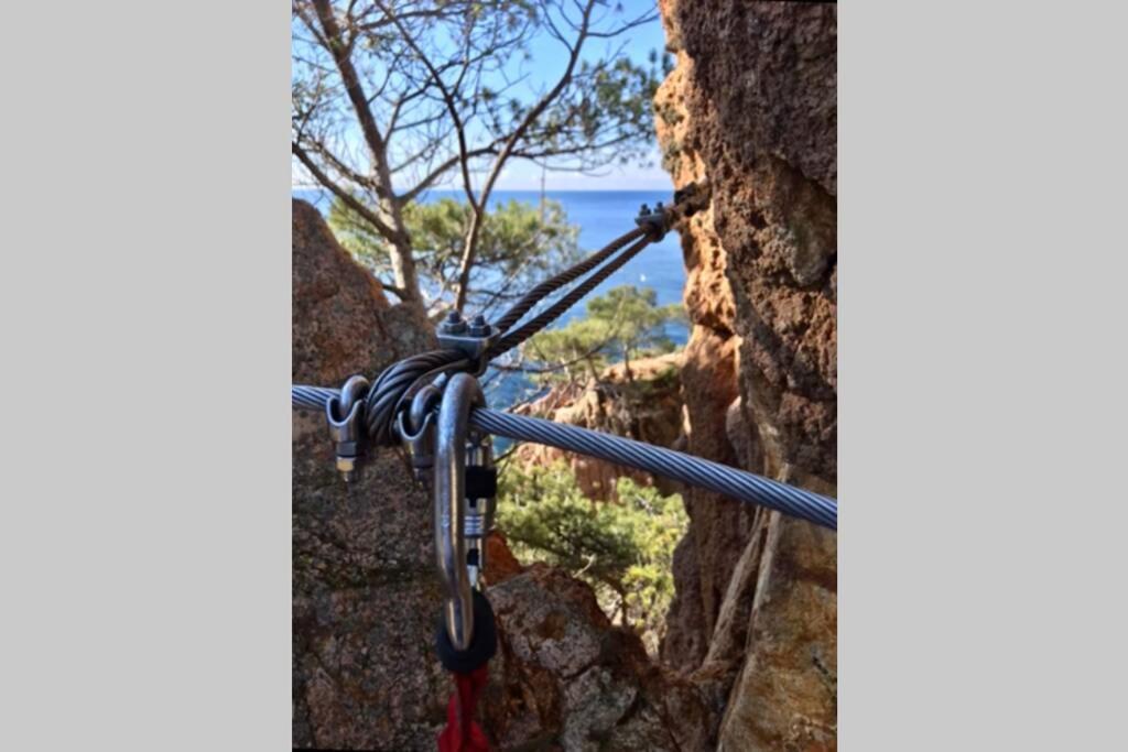 Nuevo Apartamento Moderno Elisa - A 80 Metros De La Playa Para 5 Personas Sant Feliu de Guíxols Buitenkant foto