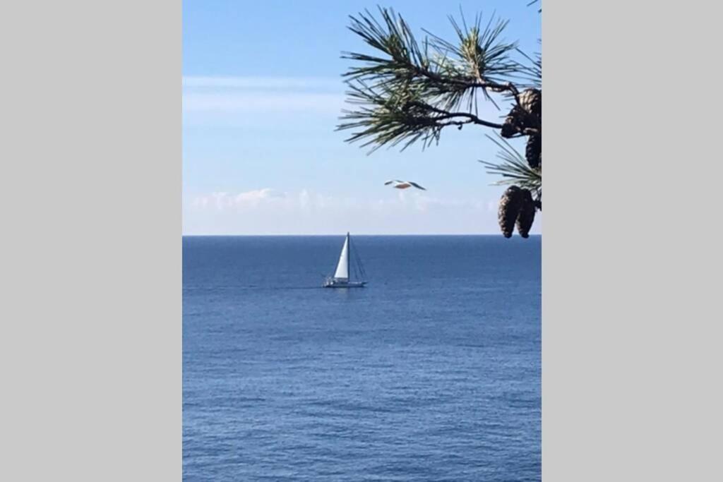 Nuevo Apartamento Moderno Elisa - A 80 Metros De La Playa Para 5 Personas Sant Feliu de Guíxols Buitenkant foto